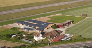 Wachtelmichel