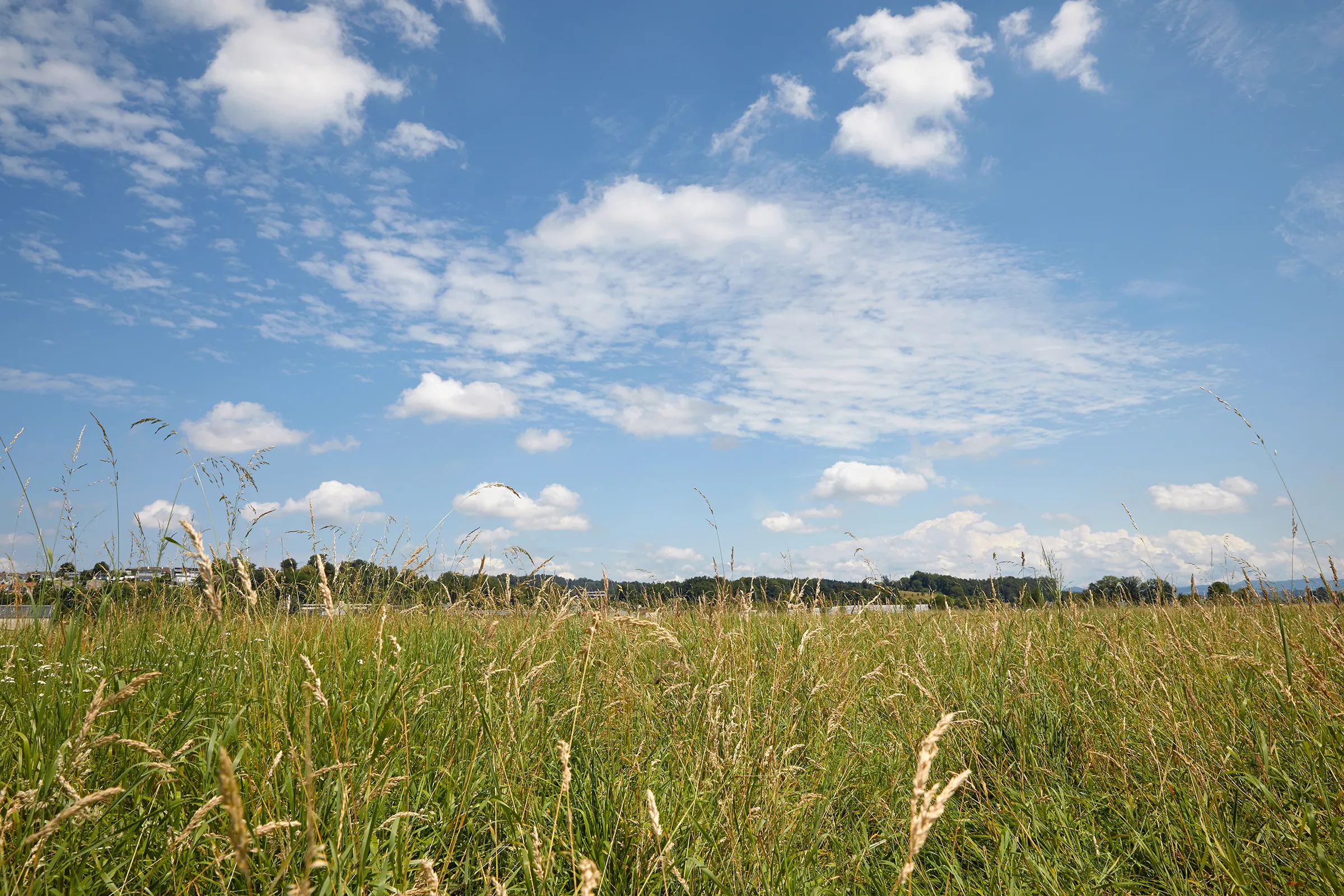 Zwischen Wiese und Himmel. Foto: Giuseppe Micciche
